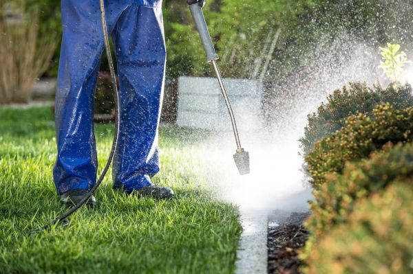 Cost of Curb Cleaning in Las Cruces