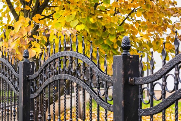 Wrought Iron Fence Washing in Las Cruces