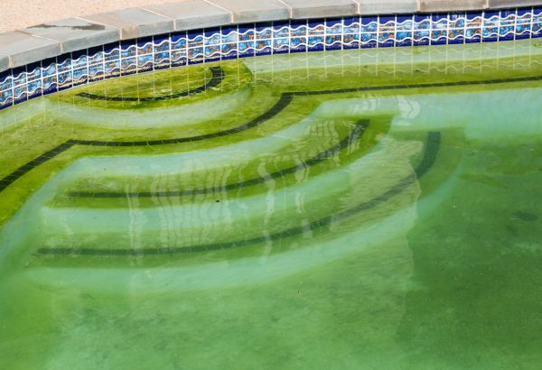 Pool Deck Algae Removal in Las Cruces