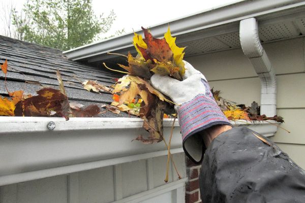 Cost of Eaves Cleaning in Las Cruces